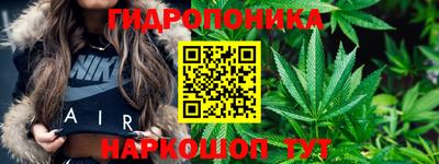 спайс Владимир