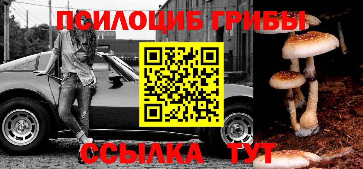 Корсаков  Псилоцибиновые грибы Cubensis  Псилоцибиновые грибы Psilocybe  Вход с VPN 