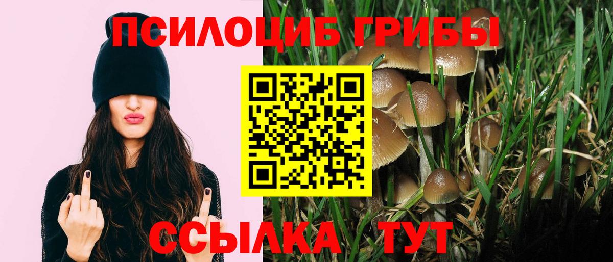 Галлюциногенные грибы мицелий Корсаков